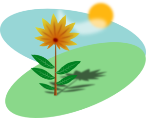 Cartoon Flower In The Sun Clip Art - vector clip art ...