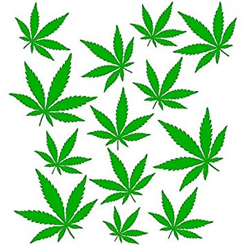 Amazon.com: Marijuana pattern professional stencil