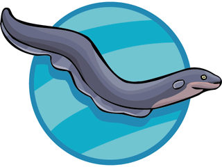 Eel Clipart - Clipartion.com