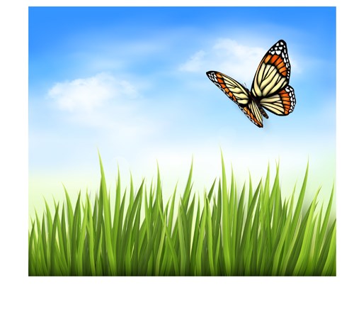 Beautiful butterfly and green grass vector background 03 – Over ...