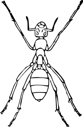Outline Ant Bug Lineart Insect Formicidae Predatory Free Vector ...