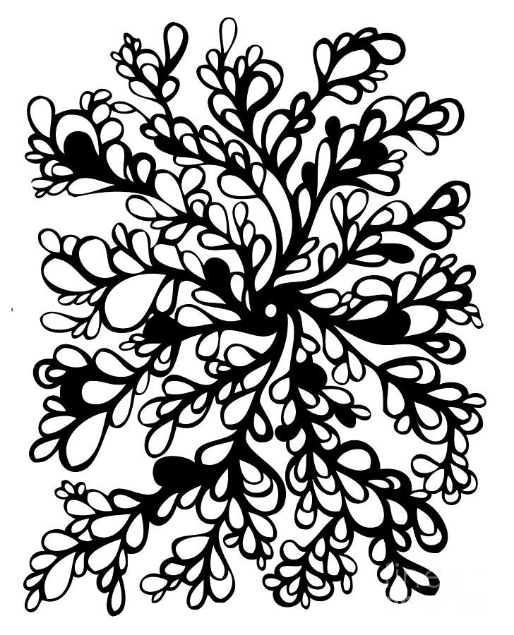 Drawings Of Flowers And Vines - ClipArt Best