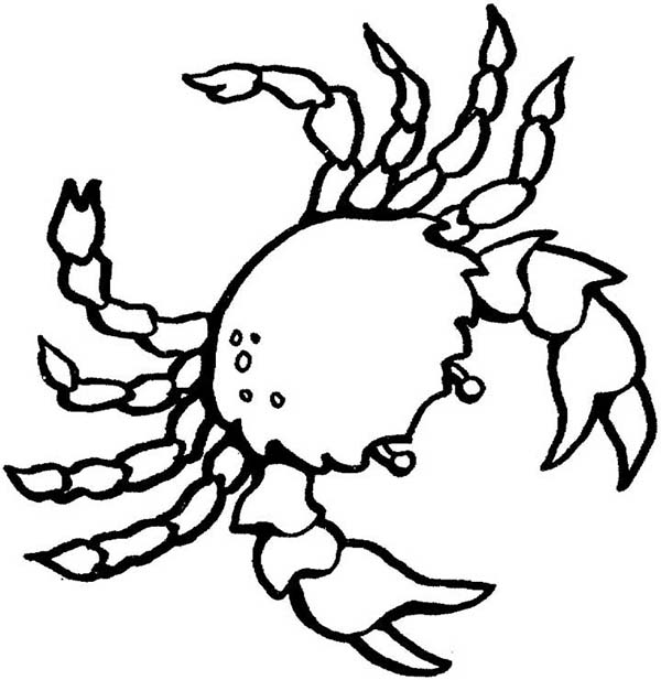 Symbol of Cancer Zodiac Crab Coloring Page: Symbol of Cancer ...