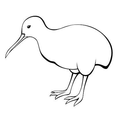 Drawing Of A Kiwi Bird Clip Art, Vector Images & Illustrations ...