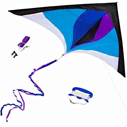 Amazon.com: Best Delta Kite for Kids & Adults - Easy to Fly ...