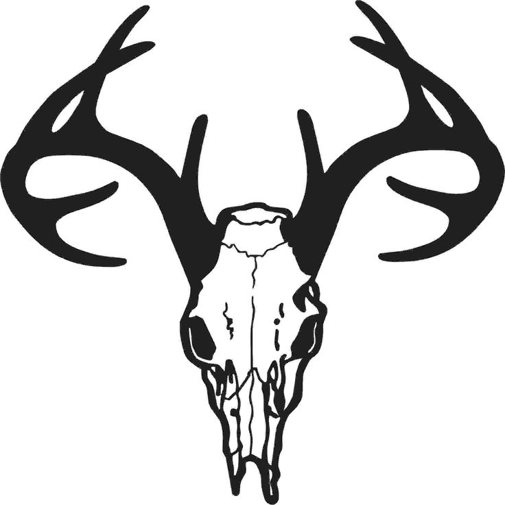 Deer head clipart skeleton