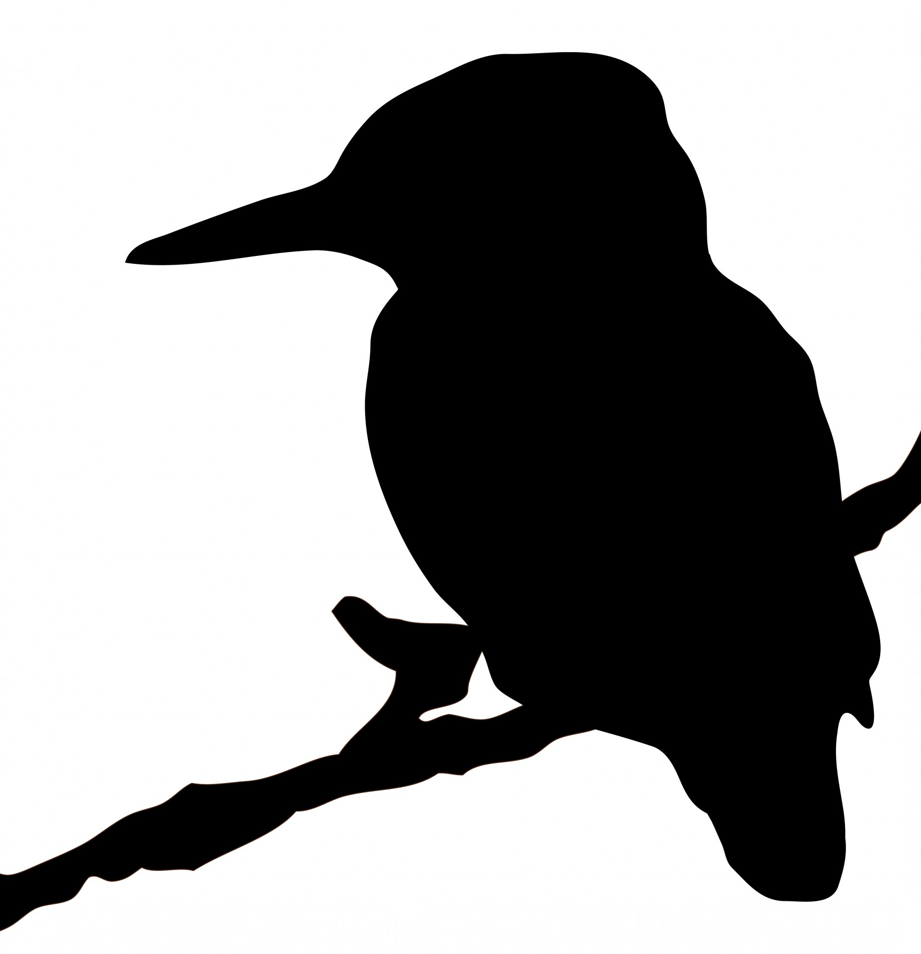 Kingfisher Bird Silhouette Clipart Free Stock Photo - Public ...