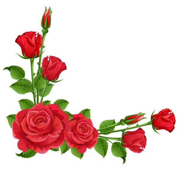 Rose corner border clipart