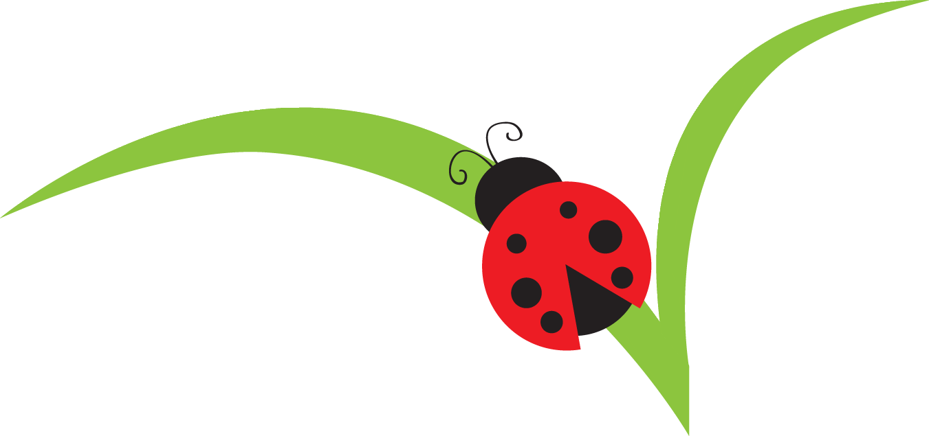 Ladybug on flower clipart