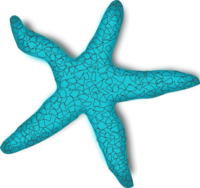 red starfish - vector Clip Art