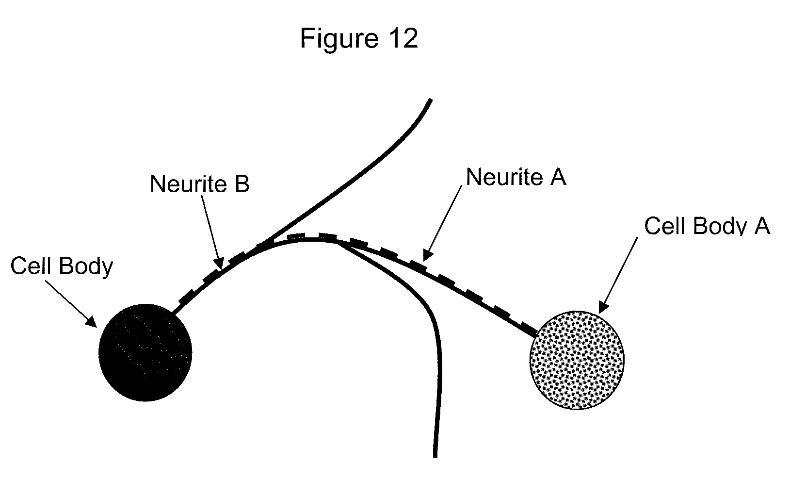 Patent US8103457 - Neuronal profiling - Google Patents