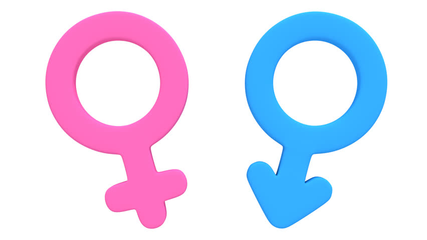 Male And Female Signs Rotate Animation. Seamless Looping HD Video ...