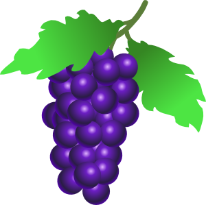 Grapevine Clipart - Free Clipart Images