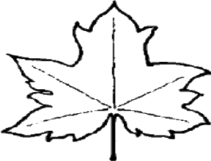 Leaf outline.png