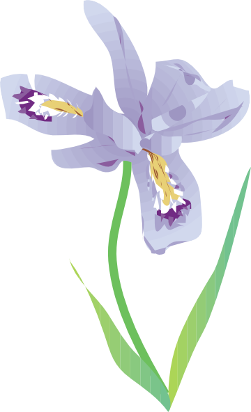 Dwarf Lake Iris clip art Free Vector / 4Vector