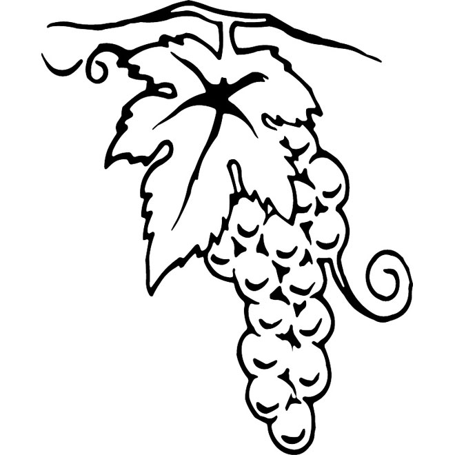 GRAPEVINE VECTOR - Download at Vectorportal