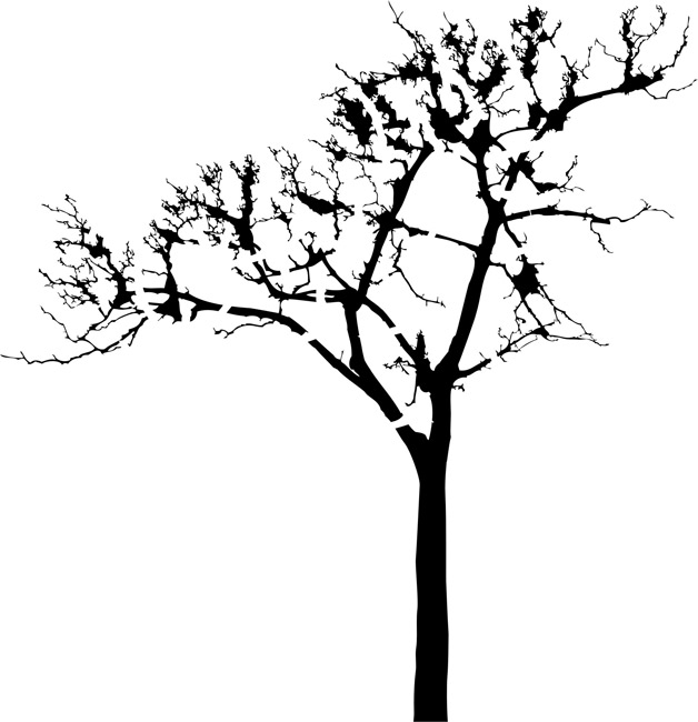 Tree Silhouette Stencil - ClipArt Best