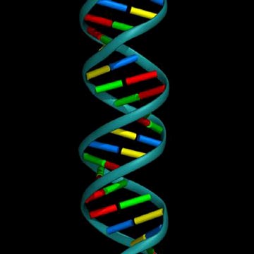 Paper Droids DNA double helix image 1 - Paper Droids