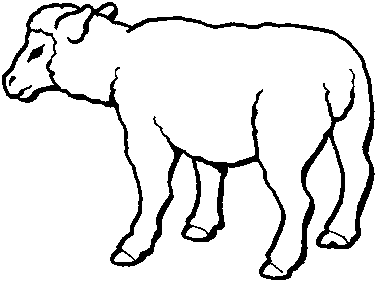 Sheep coloring pages for kids - Coloring Pages & Pictures - IMAGIXS