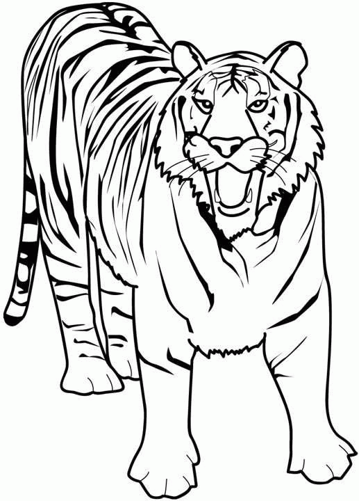 Tiger Stencil Printable - ClipArt Best