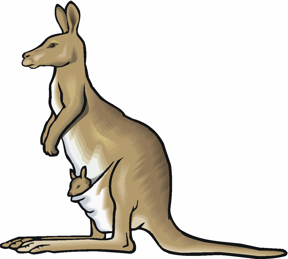 Kangaroo and joey clipart
