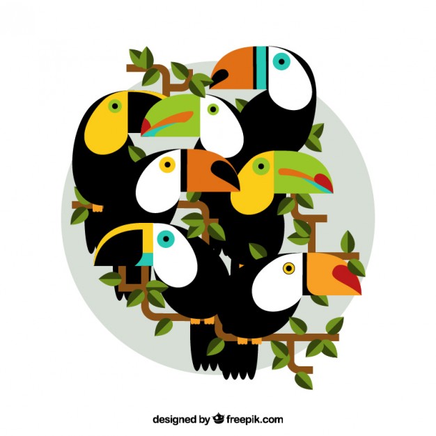 Toucan Vectors, Photos and PSD files | Free Download