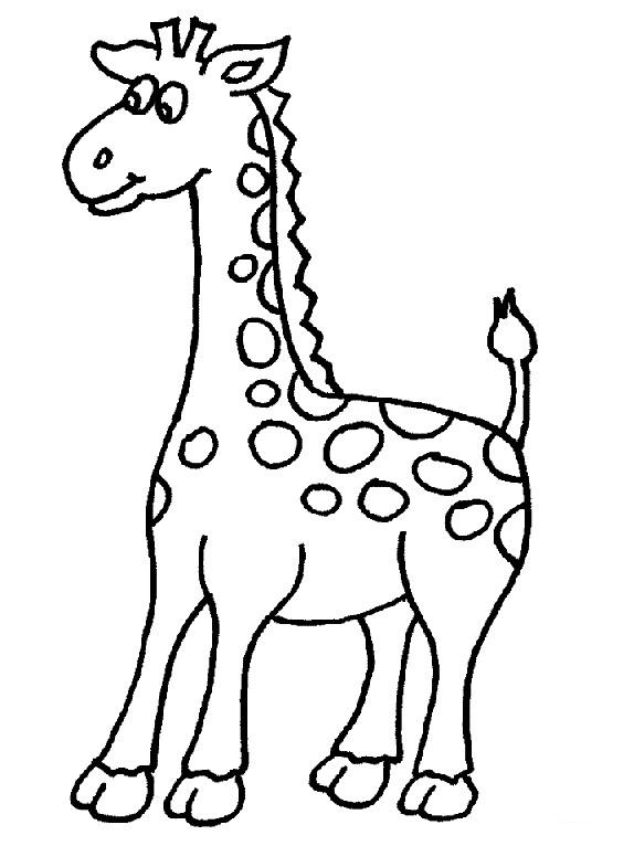 Giraffe Line Drawing | Free Download Clip Art | Free Clip Art | on ...