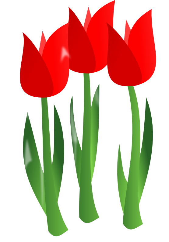 Flowers clipart png