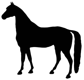 Pony silhouette clipart transparent