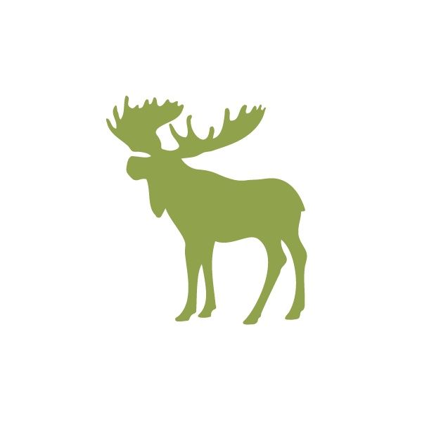 1000+ images about Designs | Deer heads, Deer ...