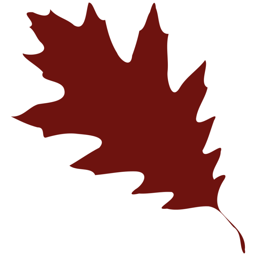 Maple Leaf Clip Art - Clipartion.com