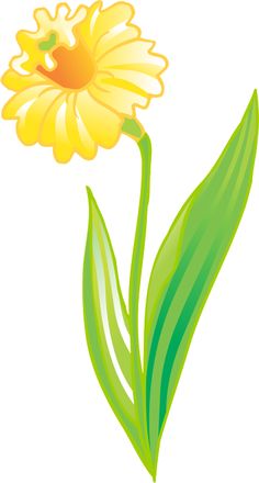 Large Daffodil Wall Stencil | Individual Flower Wall Stencils ...