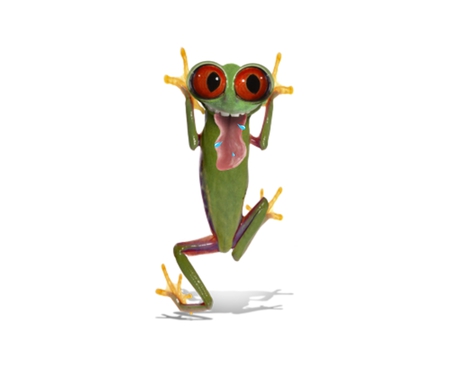 silly frog - Frogs & Animals Background Wallpapers on Desktop ...