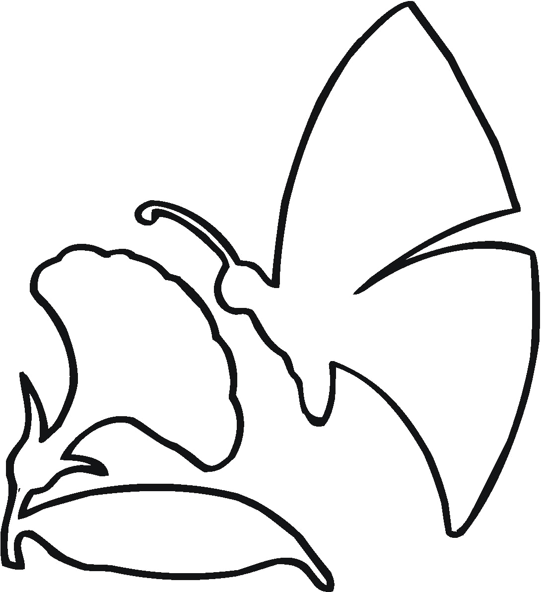 Best Photos of Flower Outline Coloring Pages - Flower Coloring ...