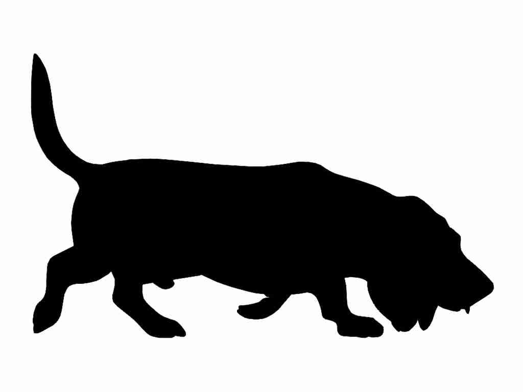 Basset hound decal | Etsy