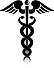 Chiropractic Caduceus Clip Art Download 17 clip arts (Page 1 ...