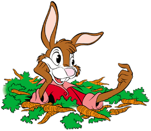 Brer rabbit Gifs. Disney Gifs