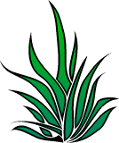 Jungle Leaf Printable - ClipArt Best