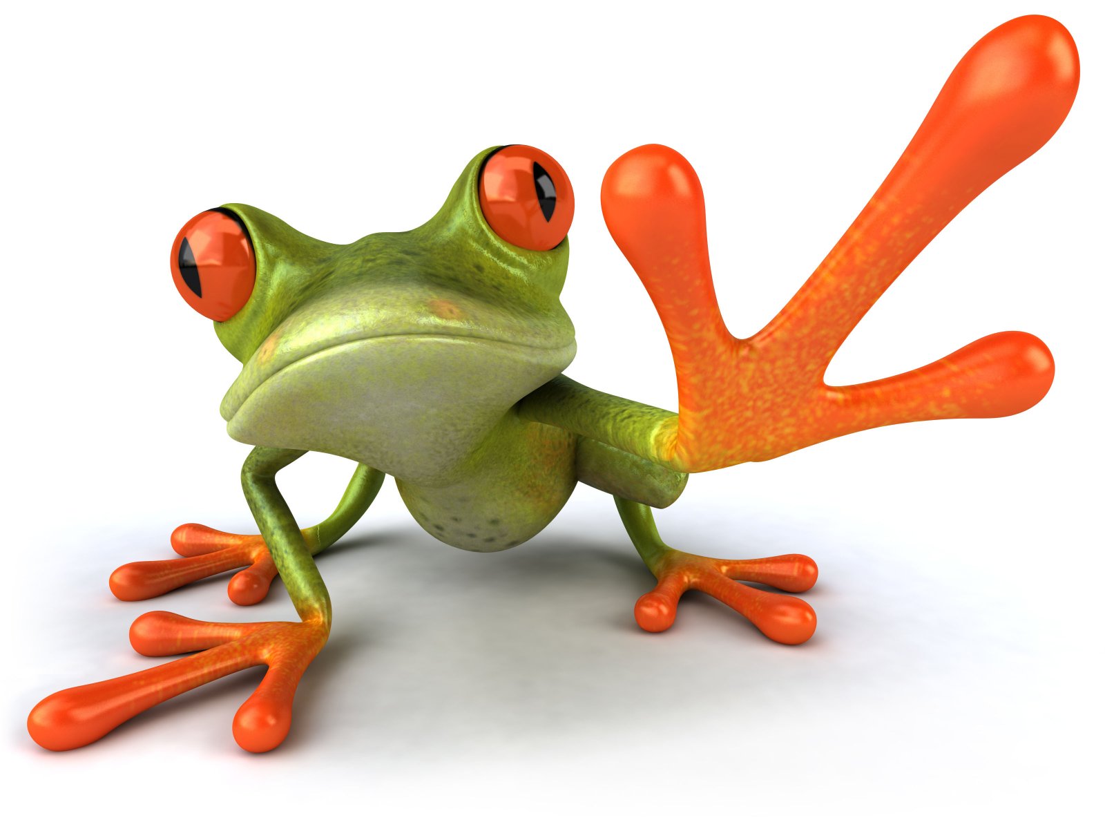 Crazy Funny Frog Desktop Wallpapers And Photos Free Downloads