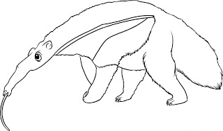 Child Coloring: Anteater Coloring