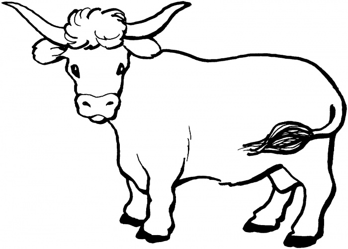 Cow 10 coloring page | Super Coloring