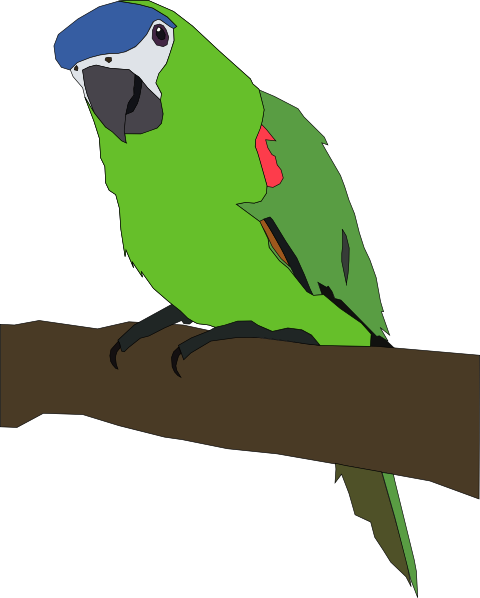 Parrot Clipart