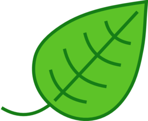 green-leaf-md.png