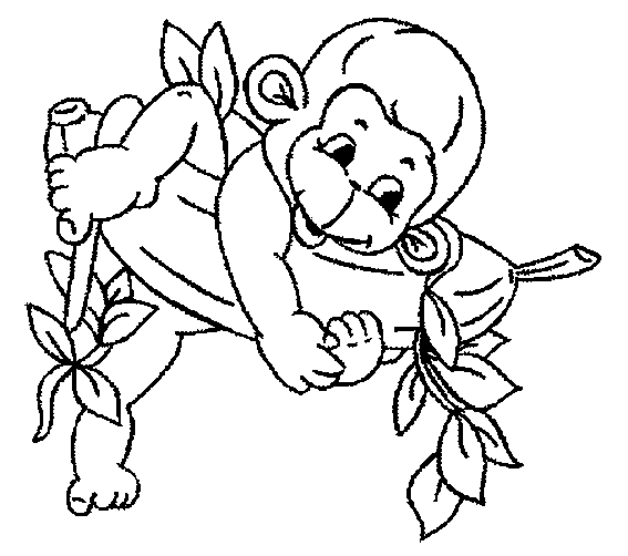 Monkey Colouring In - ClipArt Best