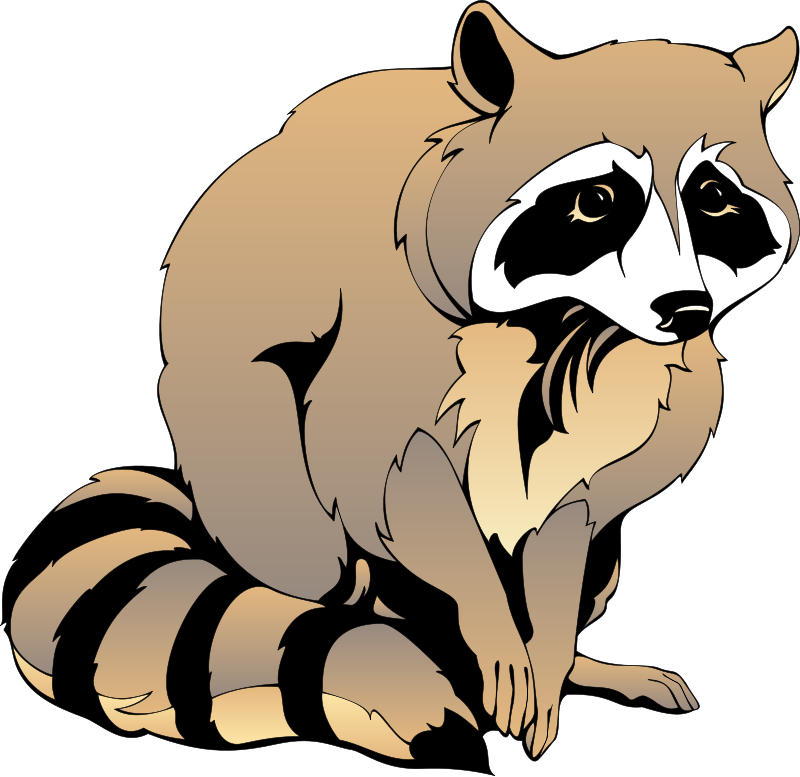 Raccoon Cartoon Images | Free Download Clip Art | Free Clip Art ...