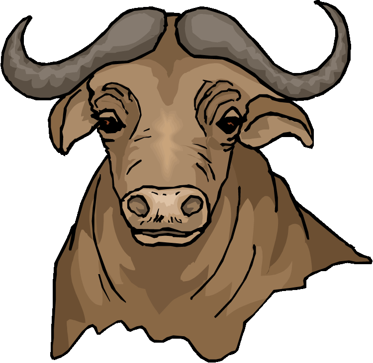 Buffalo Clipart - Tumundografico