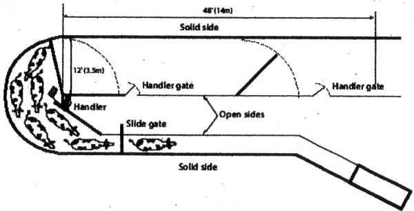 Behavioral Principles of Livestock Handling