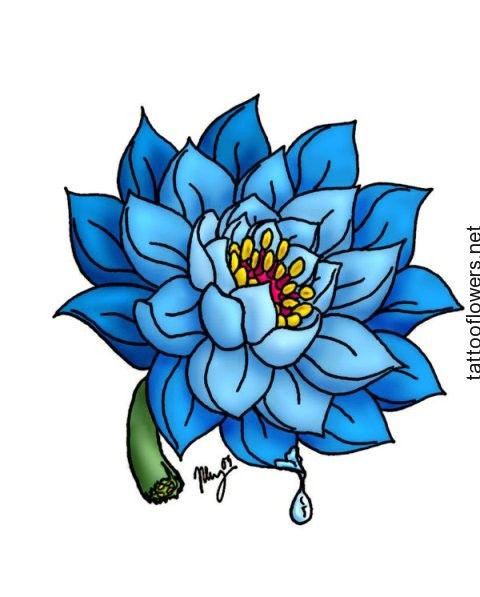 Ã?ber 1.000 Ideen zu „Water Lily Tattoos auf Pinterest | Lilien ...