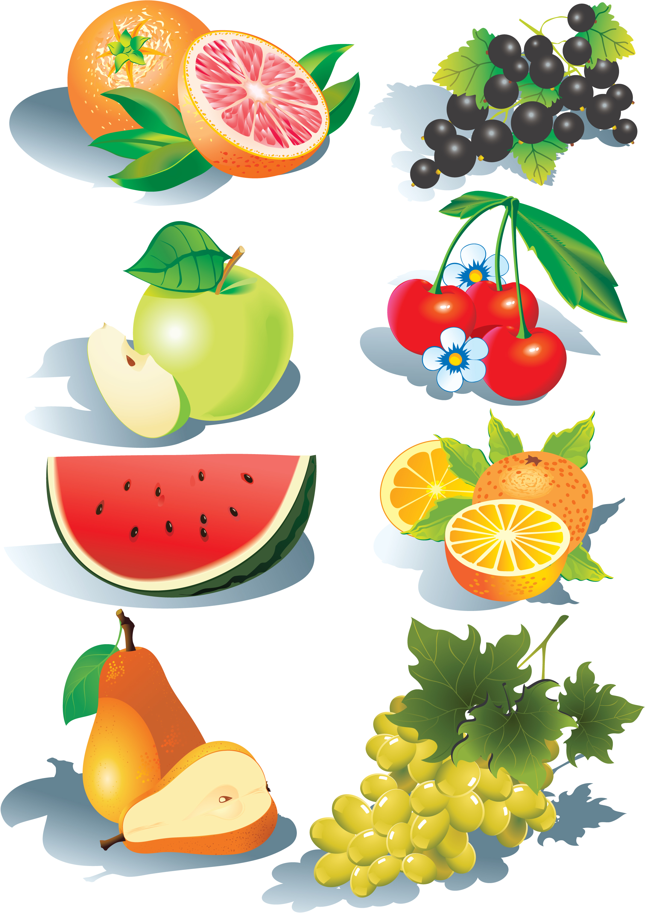 Vector Fruit - ClipArt Best