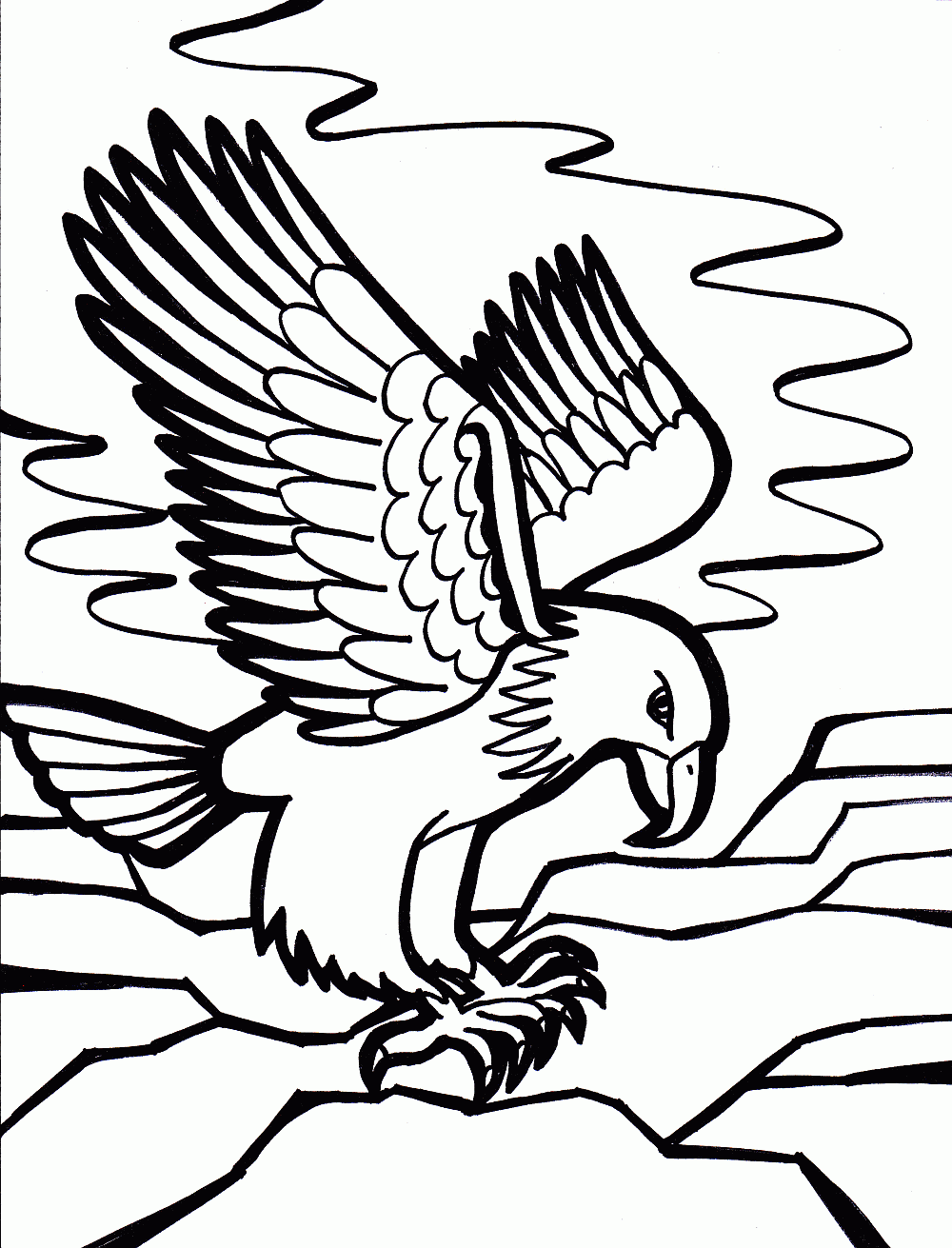 Eagle Coloring Pages For Kids - ClipArt Best